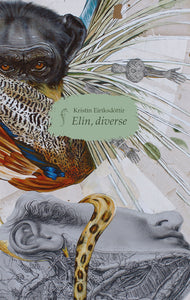 Elín, diverse – Kristín Eiríksdóttir